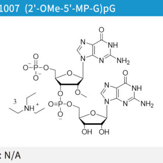 (2'-OMe-5'-MP-G)pG