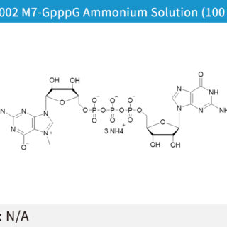 M7-GpppG Ammonium Solution