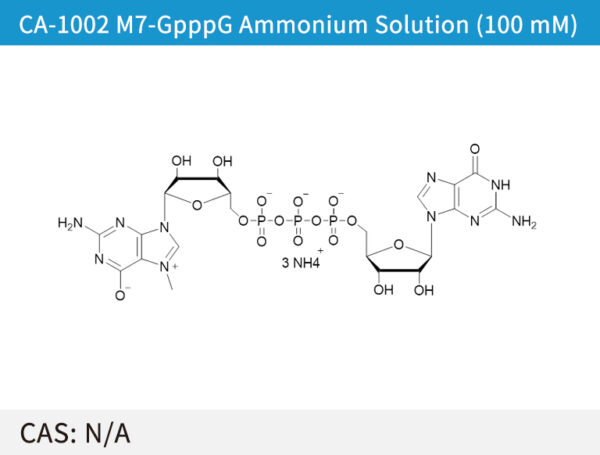 M7-GpppG Ammonium Solution