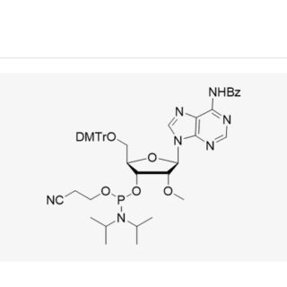 DMT-2'-OMe-A(Bz)-CE-Phosphoramidite